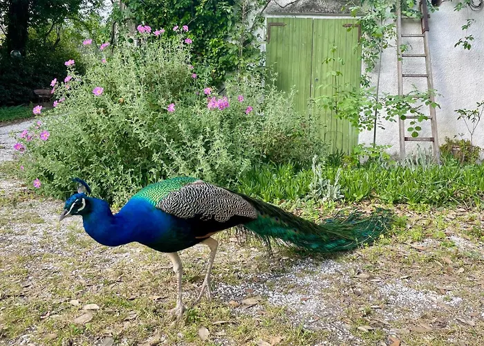 Parco San Bartolo Pésaro