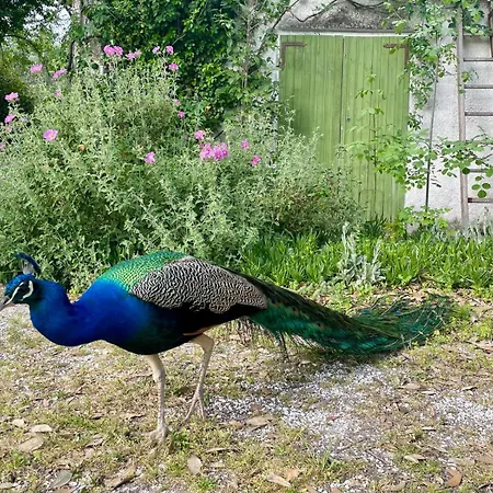 Parco San Bartolo Pesaro